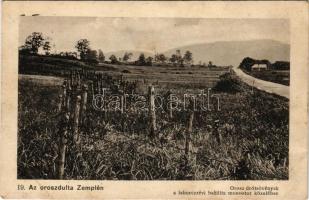 Laborcrév, Krasznibród, Krásny Brod (Mezőlaborc, Medzilaborce, Möze Laborcz); Az oroszdúlta Zemplén 19., orosz drótsövények a Bazilita monostor közelében. Varga Bertalan kiadása / WWI Russian wire fences near of the Basilian monastery after the Russian's destruction (ázott / wet damage)