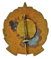 1960. "Tanácsi Ipar Miskolc - Törzsgárda" zománcozott bronz jelvény (24x21mm) T:AU,XF háto...