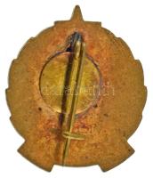 1960. "Tanácsi Ipar Miskolc - Törzsgárda" zománcozott bronz jelvény (24x21mm) T:AU,XF