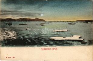 Spitsbergen, Spitzbergen (Svalbard); Drivis / drift ice