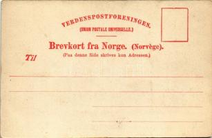 Spitsbergen, Spitzbergen (Svalbard); Drivis / drift ice