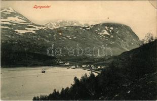 Lyngseidet, general view (EK)