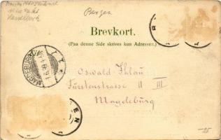 1899 (Vorläufer) Bergen, Övre Torvet / market square, tram (small tear)