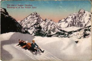 1917 Tátra, Magas-Tátra, Vysoké Tatry; Téli élet, sport, szánkó / Wintersport, sleigh, sledding (ázott / wet damage)