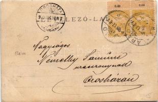 1900 Arad, férfi kutyával és kerékpárral / man with dog and bicycle. photo (EK)