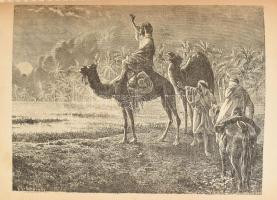 Alvinczy Sándor: A Szaharában. Utirajzok és tanulmányok. Bp.,én., Franklin-ny., 243+2 p. Szövegközti...