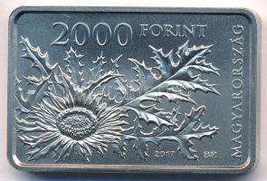 2017. 2000Ft Cu-Ni "Bükki Nemzeti Park" kapszulában T:BU patina