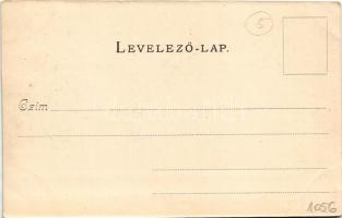 Visegrád, vár, gőzhajó. Divald Károly Nr. 22. (EK)