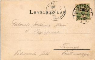 1902 Szeged, Tiszapart (EK)