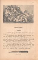 Kovács Teréz: 
Szegedi képes szakácskönyv. 4 színnyomattal és 100-nál több finom fametszettel.
Sze...