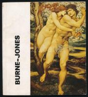 Sármány Ilona: Burne-Jones. (Dedikált!) A művészet kiskönyvtára. Bp., 1983, Corvina. Fekete-fehér és színes képekkel, reprodukciókkal illusztrálva. Kiadói papírkötés. A szerző, Sármány-Parsons Ilona művészettörténész által Vámos Tibor részére dedikált példány.