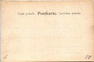 Ötztal, Oetzthal (Tirol); Frischmann Hütte / mountain tourist house. Fritz Gratl hand-coloured photo...