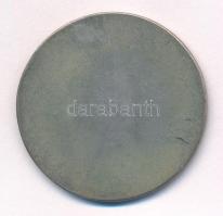 1924. "Magyar Fox-Terrier Tenyésztők Egyesülete" jelzet Ag emlékérem, "SGA" gyár...