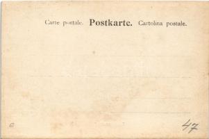 Patscherkofel (Tirol), Schutzhaus / mountain tourist house. Fritz Gratl hand-coloured photo (cut)