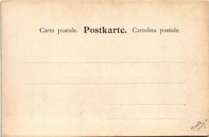 Ötztal, Oetzthal (Tirol); Brunnenkogel-Schutzhaus / mountain tourist house. Fritz Gratl hand-coloure...