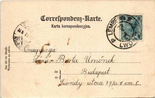 1902 Lviv, Lwów, Lemberg; Mädchen Seminar / girl school / Seminaryum Zenskie (EK)