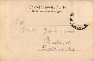 Lviv, Lwów, Lemberg; Pomnik Mickiewicza / monument, shops of M. Karol and R. Ditmar (Rb)