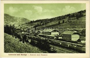 Lavochne, Lawoczne kolo Skolego; railway station, trains