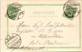 1899 (Vorläufer) Kobenhavn, Kjobenhavn, Kopenhagen, Copenhagen; Etablissementet National / street, h...