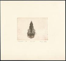 Olajos György (1953-): Preparáció I., 1982. Rézkarc, papír, jelzett, művészpéldány E.A. II/XV számoz...