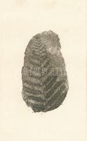 Olajos György (1953-): Fosszília IV., 1982. Rézkarc, papír. jelzett, számozott 1/ 35. 20x9 cm