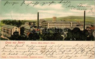 1903 Ceská Trebová, Böhmisch Trübau; Gruss aus Parnik. Febriken Hermann Pollack's Söne. Fotogr. u. Verlag R. Piffl / Hermann Pollack and Sons textile factory (EK)