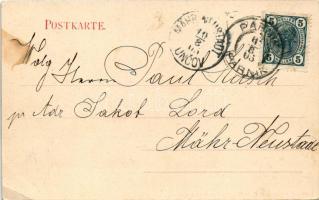 1903 Ceská Trebová, Böhmisch Trübau; Gruss aus Parnik. Febriken Hermann Pollack's Söne. Fotogr....