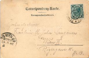 1902 Zehusice, Obora, Zamek, Skola, Pout / castle, school, game reserve. Art Nouveau, floral (EK)