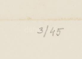 Olajos György (1953-): Napraforgó, 1981. Rézkarc, papír, jelzett, számozott (3/45). Lapszéli kisebb ...