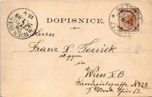 1899 (Vorläufer) Netolice, market (EK)