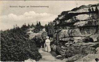 1908 Zelnava, Salnau; Dreisesselberg, Knieholz-Region am Dreisesselkammweg / Trístolicník