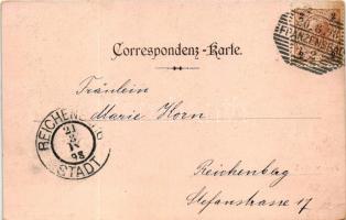 1898 (Vorläufer) Frantiskovy Lázne, Franzensbad; Dr. Loimann's Badehaus / Dr. Loimann's ba...