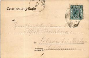 ~1904 Jánské Koupele, Bad Johannisbrunn; spa, bath. Verlag C. Richter (fl)