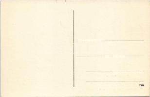 Mittenwald (Bayern), Johann Reiter Saiteninstrumentenmacher und Reparateur / String musical instrume...