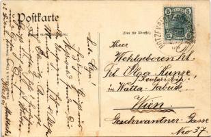 Slezské Rudoltice, Rosswald; Schule, Kirche, Schloss, Mildner's Hotel u. Warenhaus / school, ch...