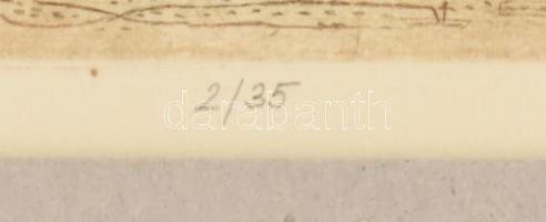 Olajos György (1953-): Úszótanfolyam csaliknak, 1979. Színes rézkarc, papír, jelzett, 2/35 számozáss...