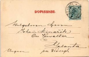 1902 Zehun, Pozdrav ze Zehune, Kostel, Skola, Mlyn, Fara / church, school, mill, parsonage. F. Králk...