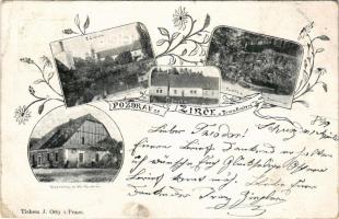 1899 (Vorläufer) Dvur Králové nad Labem, Königinhof an der Elbe; pozdrav ze Zirce, Zámen, Skola / multi-view postcard with school, shop. Tiskem J. Otty. Art Nouveau floral (EB)