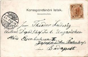 1899 (Vorläufer) Dvur Králové nad Labem, Königinhof an der Elbe; pozdrav ze Zirce, Zámen, Skola / mu...