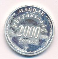 1998. 2000Ft Ag "Eötvös Lóránd" T:AU (eredetileg PP) folt Adamo EM156