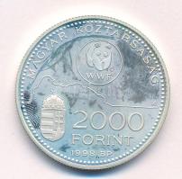 1998. 2000Ft Ag "WWF - Óvd a természetet" T:AU (eredetileg PP) folt Adamo EM154