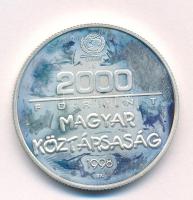 1998. 2000Ft Ag "UNICEF - A világ gyermekei" T:AU (eredetileg PP) folt Adamo EM153