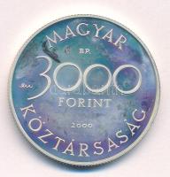 2000. 3000Ft Ag "Veszélyeztetett állatvilág - hód" T:AU (eredetileg PP) folt Adamo EM165