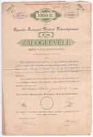 Budapest 1898. "Egyesült Budapesti Fővárosi Takarékpénztár" 4 1/2%-os záloglevele 1000K-ról, szárazpecséttel, szelvényekkel + 1940. "Hangya Termelő-Értékesítő és Fogyasztási Szövetkezet" üzletrésze 10P-ről vízjeles papíron, szelvényekkel, szárazpecséttel T:F