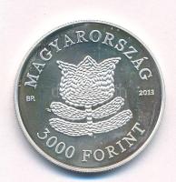 2013. 3000Ft Ag "A magyar táncház módszer" T:AU (eredetileg PP) folt Adamo EM256