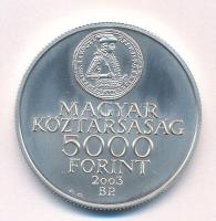 2003. 5000Ft Ag "A Rákóczi szabadságharc 300. évfordulója" T:BU Adamo EM186