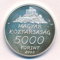2003. 5000Ft Ag "Hollókő" kapszulában T:AU (eredetileg PP) folt Adamo EM185