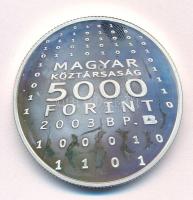 2003. 5000Ft Ag "Neumann János" T:AU (eredetileg PP) folt Adamo EM188