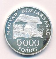 2004. 5000Ft Ag "Visegrádi vár" T:AU (eredetileg PP) folt Adamo EM192