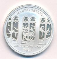 2004. 5000Ft Ag "Magyarország az Európai Unió tagja" T:AU (eredetileg PP) folt Adamo EM190